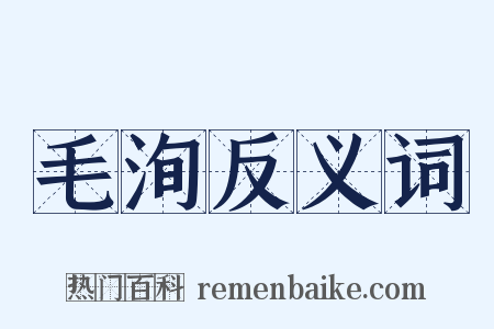 毛洵反义词是什么意思的图片